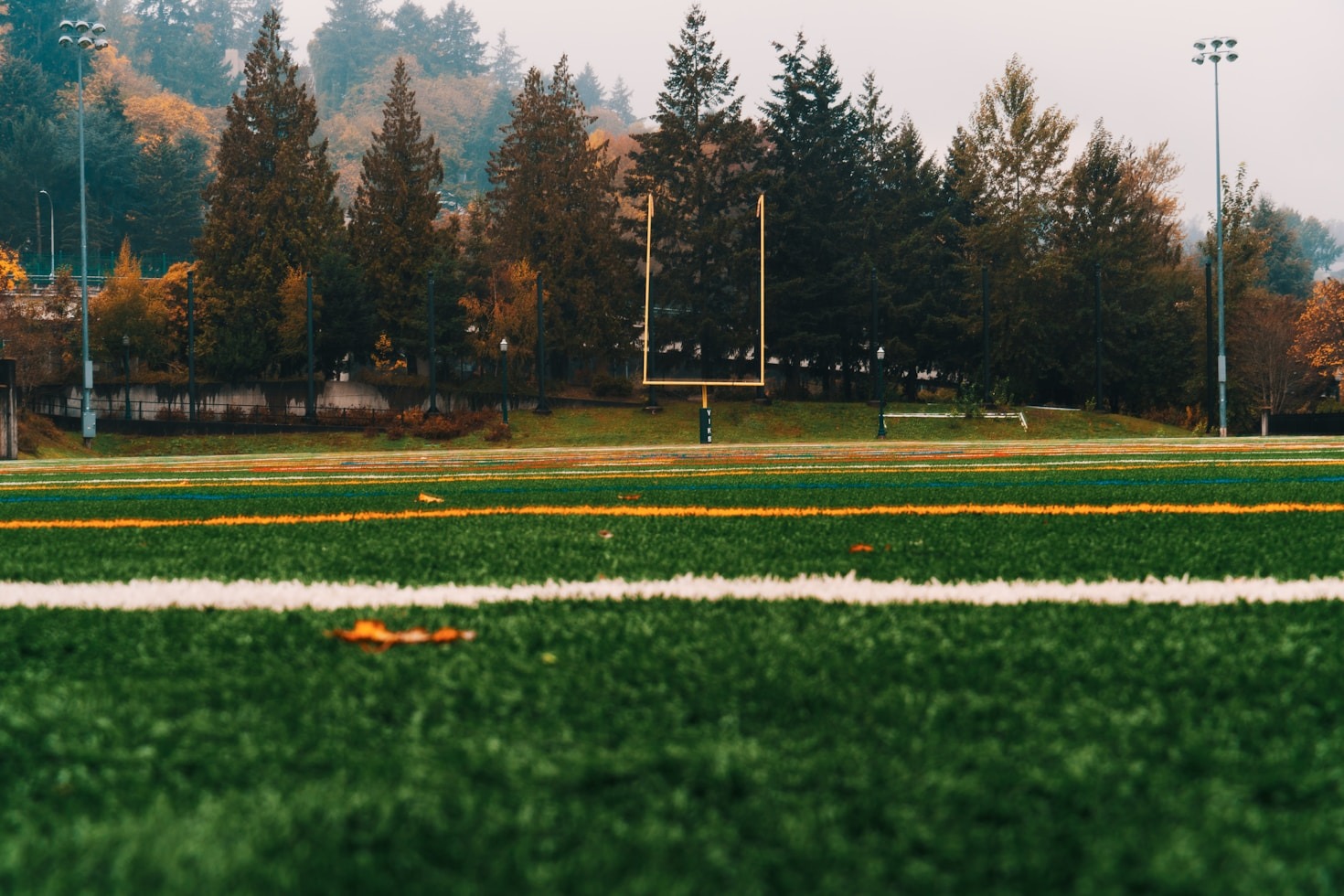 What It Takes to Succeed as a Student-Athlete